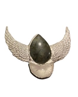 Labrodite wings