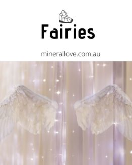 Fairies