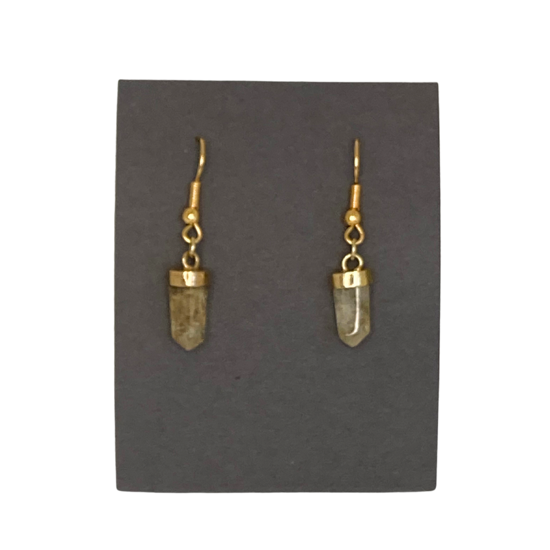 Citrine Gold Fish Hook Earrings – Mineral Love