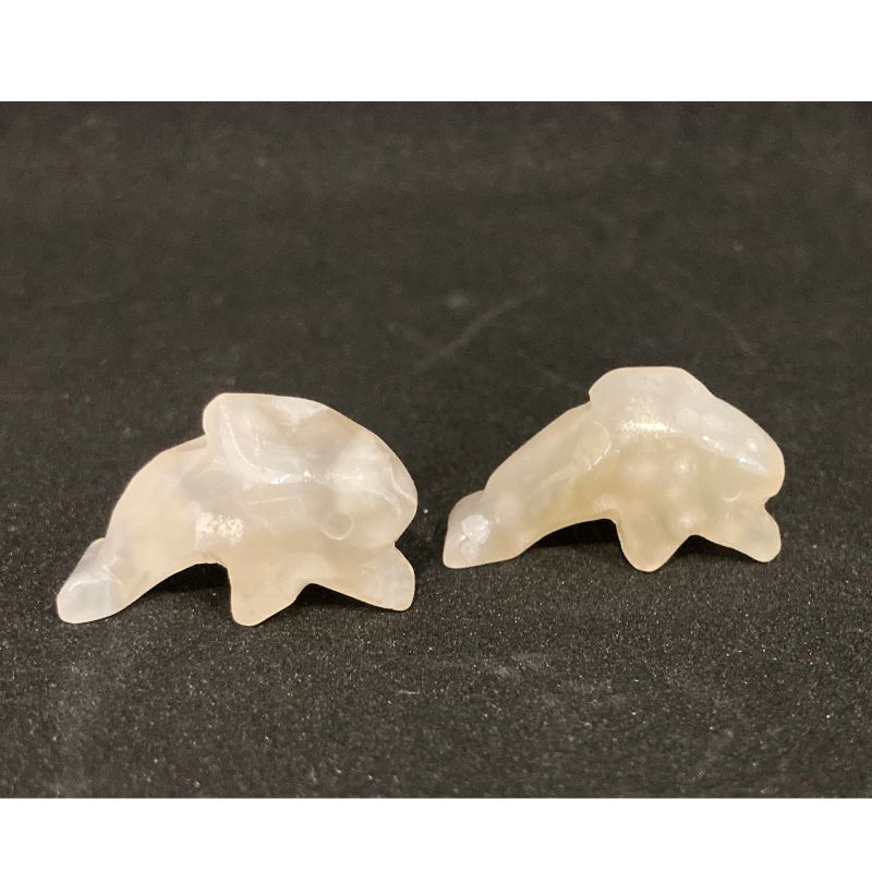 agate dolphin together