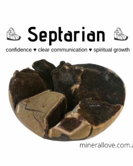 Septarian