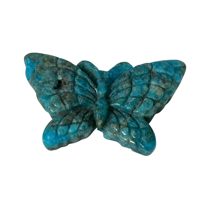 apatite butterfly