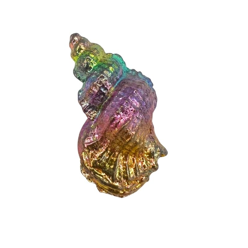 bismuth seashell 2
