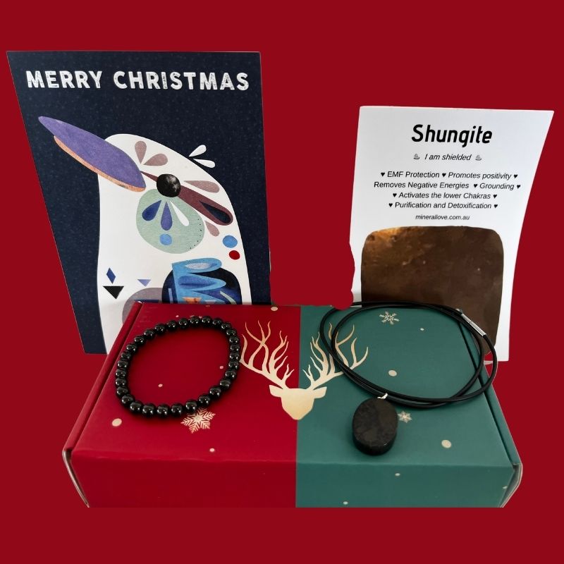 shungite necklace and bracelet gift set 2